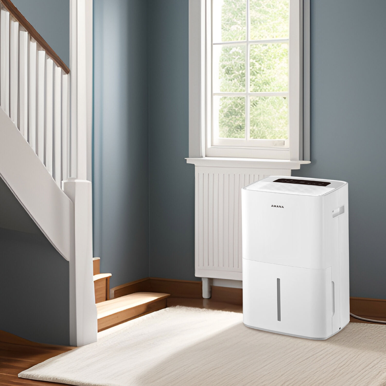 dehumidifier in entry room