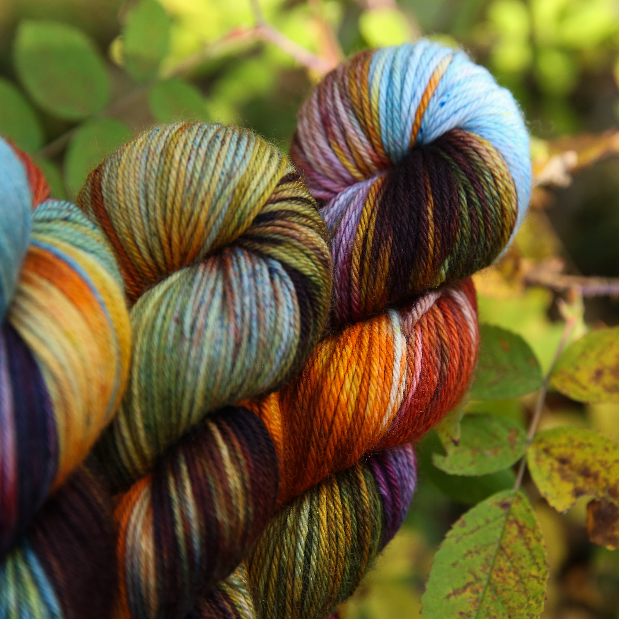 Kettle Dyed LUMEN — Lancaster Yarn Shop