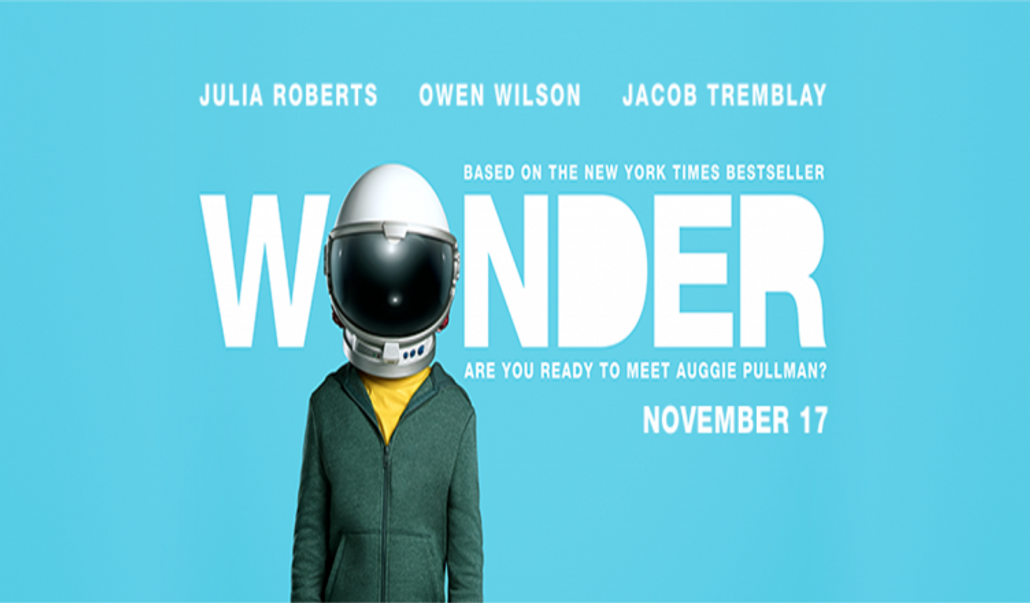 Wonder in Bulk: How to Incorporate Wonder into Your Classroom