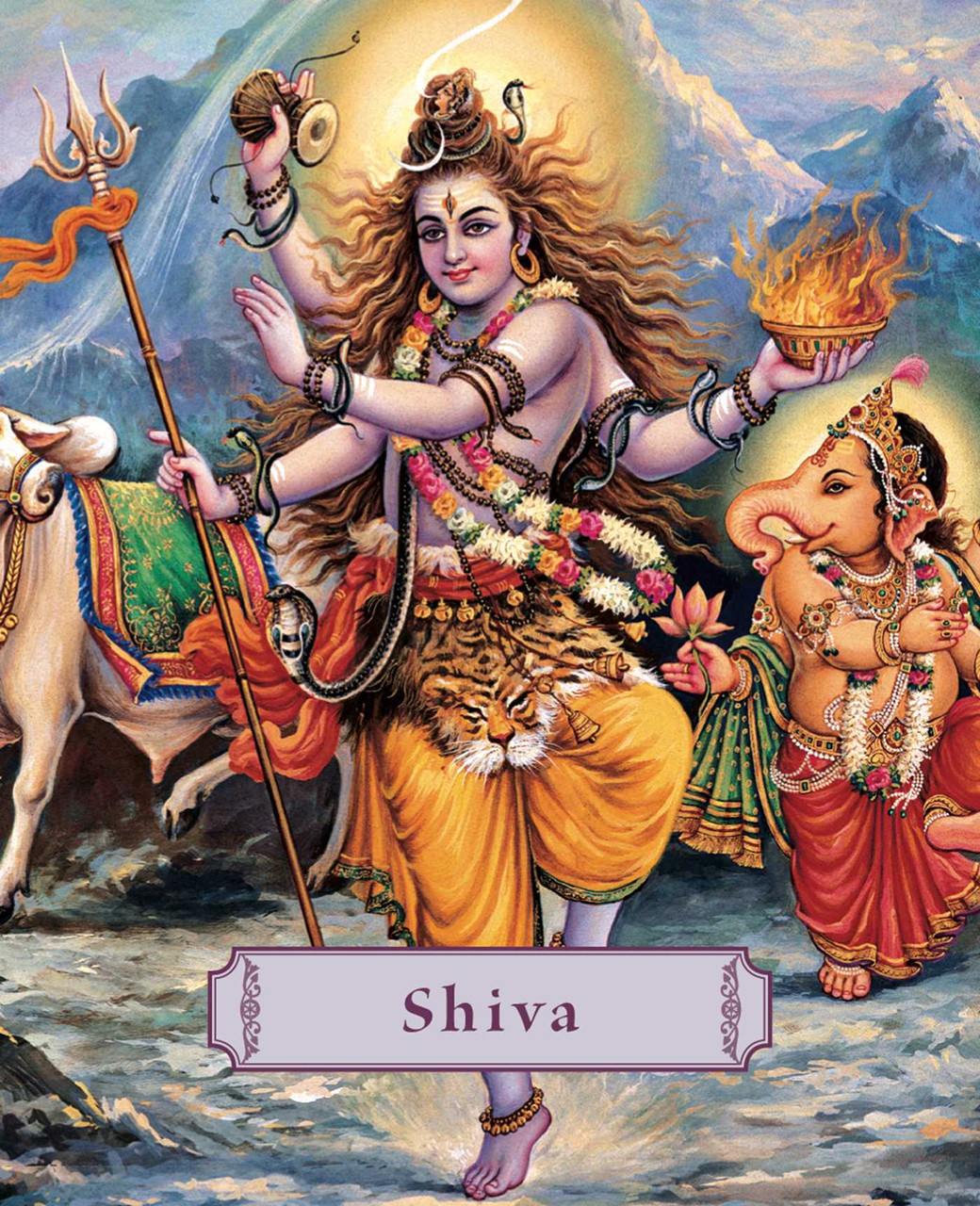 Shiva - Hardcover [9781886069954] | BookPal