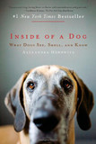 Inside of a Dog: What Dogs See, Smell, and Know Cover