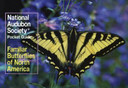 National Audubon Society Pocket Guide to Familiar Butterflies of North America Cover