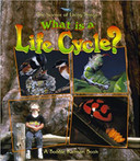 What Is a Life Cycle? ( Science of Living Things ) Cover