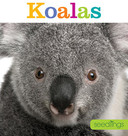Seedlings: Koalas Cover