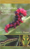 Caterpillars of Eastern North America: A Guide to Identification and Natural History Cover