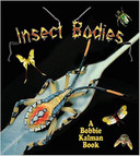 Insect Bodies (The World of Insects) Cover