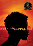 Copper Sun Cover
