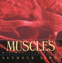 Muscles: Our Muscular System Cover