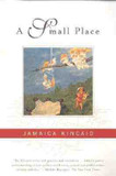 Small Place [Paperback] Cover