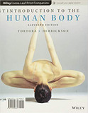Introduction to the Human Body - Cover