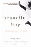 Beautiful Boy : A Father's Journey Through His Son's Addiction Cover