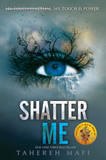 Shatter Me cover
