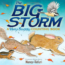 The Big Storm cover