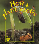 How a Plant Grows -cover
