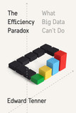 The Efficiency Paradox: What Big Data Can't Do Cover