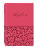 Deluxe Gift & Award Bible-KJV Cover