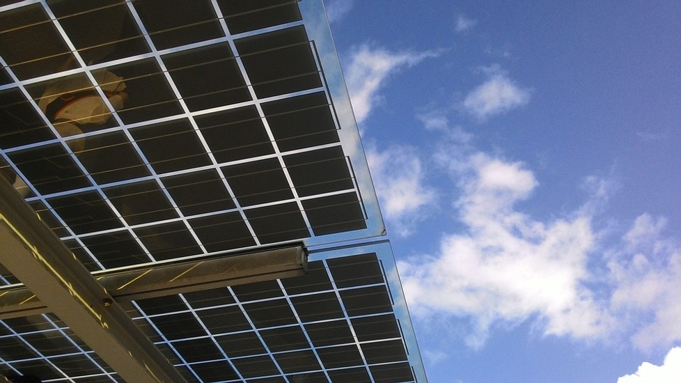 5 Simple Eco-Friendly Tips for the Office