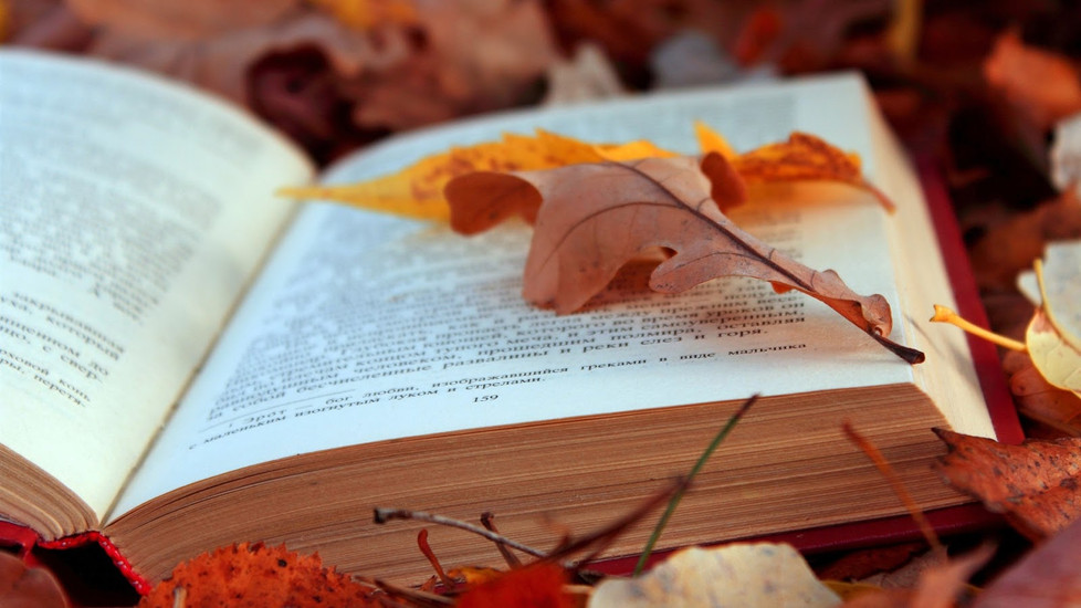 The Seven Best New Books Coming This Fall!