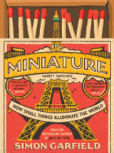 In Miniature: How Small Things Illuminate the World