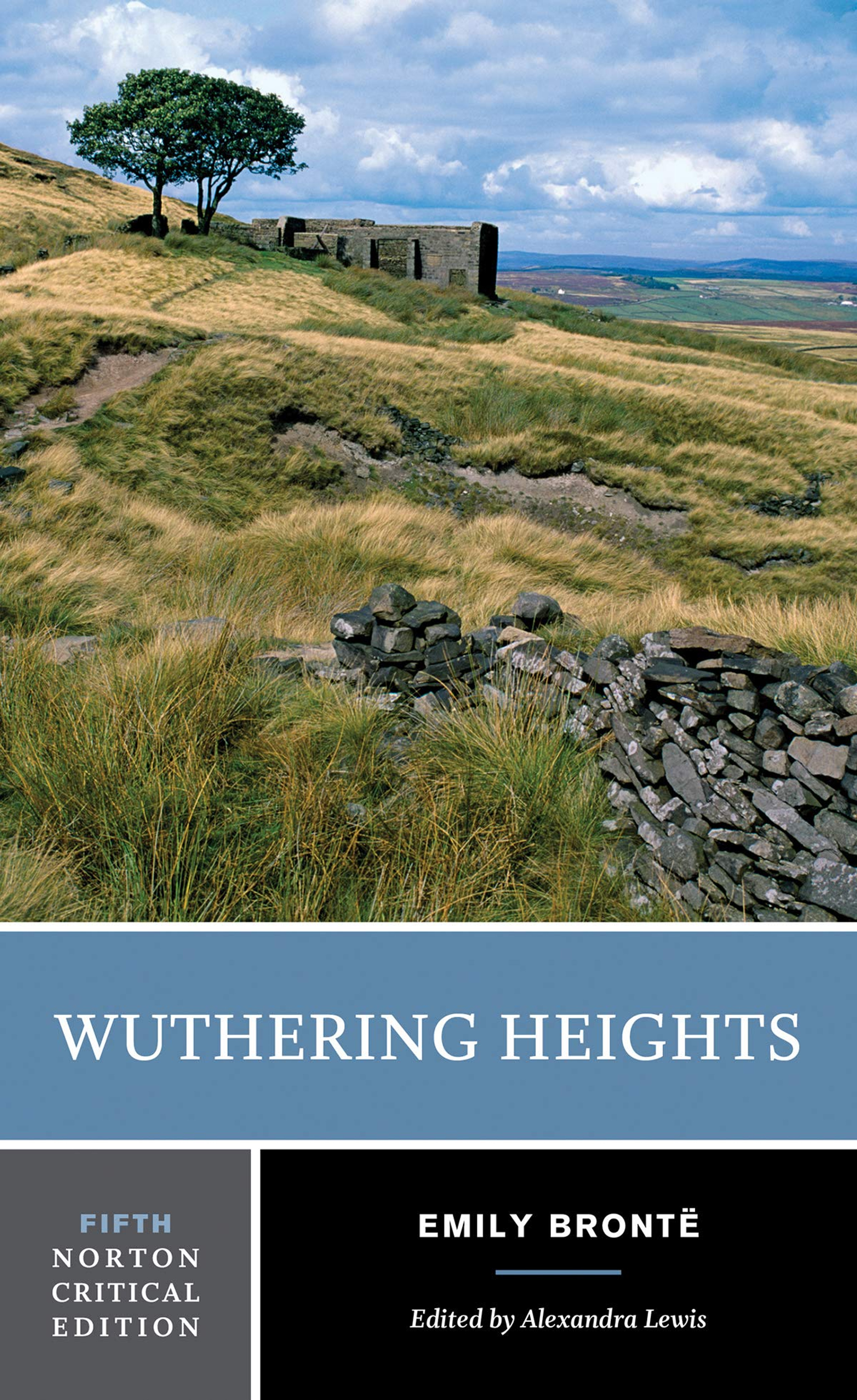 critical essays on wuthering heights