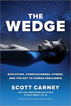 The Wedge: Evolution, Consciousness, Stress, and the Key to Human Resilience Cover