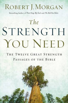 The Strength You Need: The Twelve Great Strength Passages of the Bible Cover