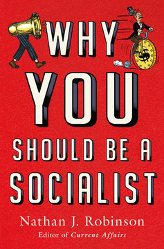 Why You Should Be a Socialist Cover