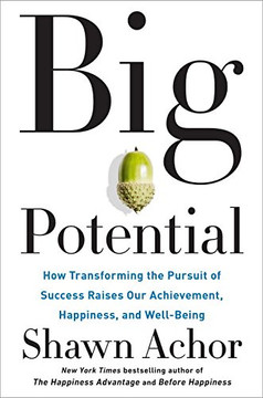 Big Potential: How Transforming the Pursuit of Success Raises Our Achievement, Happiness, and Well-Being Cover