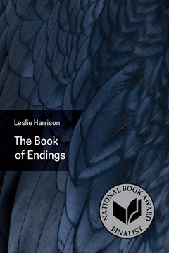 The Book of Endings (Akron series in poetry) Cover