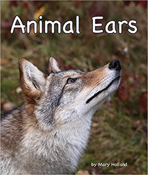 Animal Ears Cover