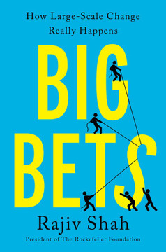 Big Bets: How Large-Scale Change Really Happens [Hardcover]