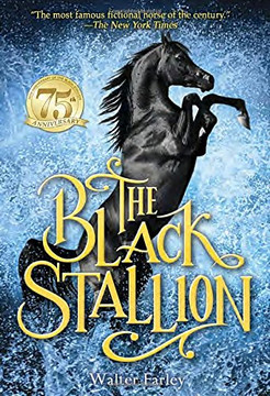 The Black Stallion Cover