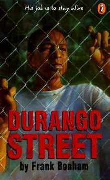 Durango Street Cover