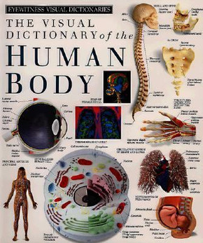 The Visual Dictionary of the Human Body Cover