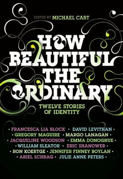 How Beautiful the Ordinary: Twelve Stories of Identity Cover