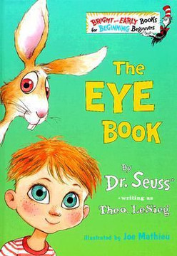 The Eye Book Cover