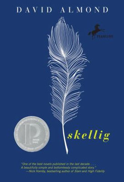 Skellig Cover