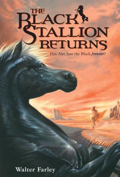 The Black Stallion Returns Cover