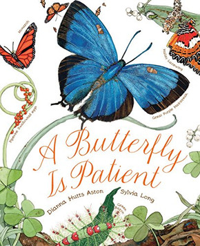 A Butterfly Is Patient Cover