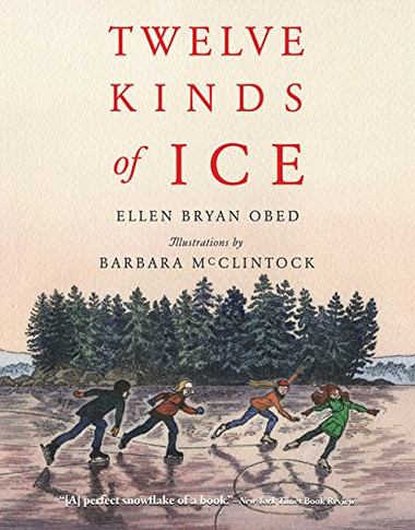 Twelve Kinds of Ice 9780544555549 Cover
