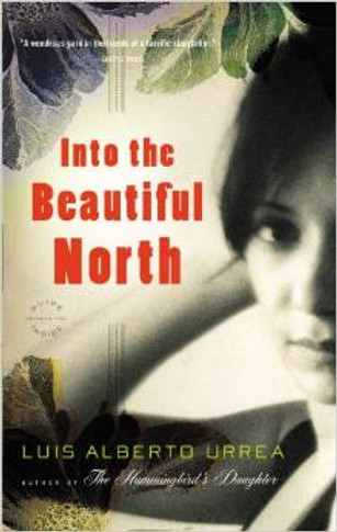 Into the Beautiful North Cover