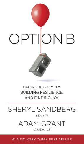 Option B: Facing Adversity, Building Resilience and Finding Joy Cover