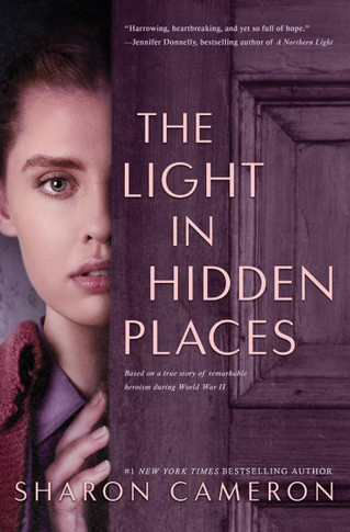 The Light in Hidden Places Cover