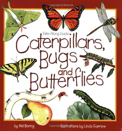 Caterpillars, Bugs and Butterflies: Take-Along Guide Cover
