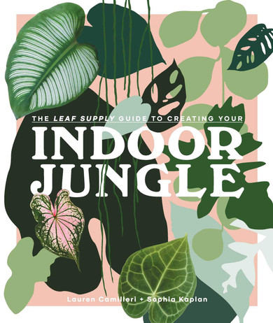 The Leaf Supply Guide to Creating Your Indoor Jungle - Cover