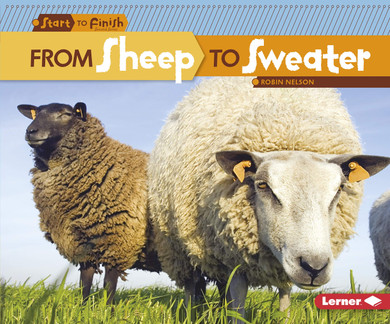 From Sheep to Sweater - Cover