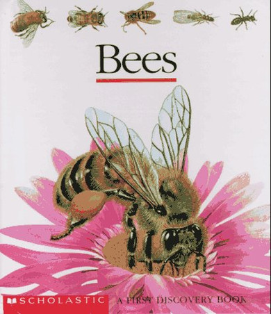 Bees