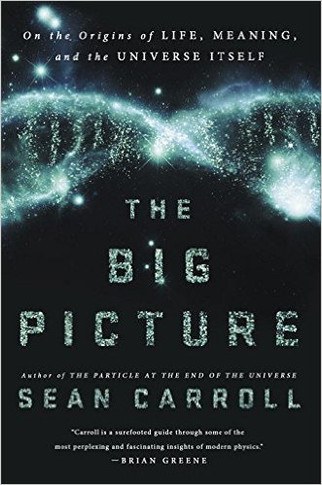The Big Picture: On the Origins of Life, Meaning, and the Universe Itself Cover