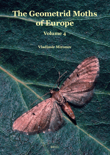 Larentiinae II: (Perizomini and Eupitheciini) [9789004499584]