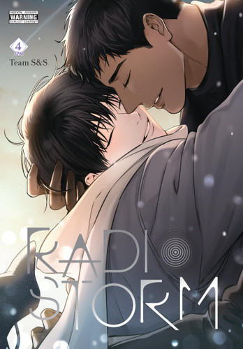 Radio Storm, Vol. 4 (Radio Storm #4) book cover by Team Team S&S